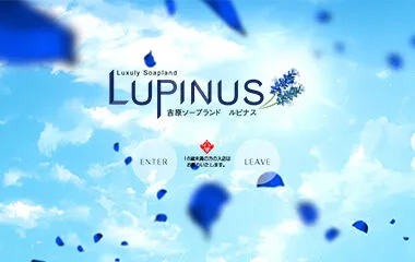 Lupinus (2)