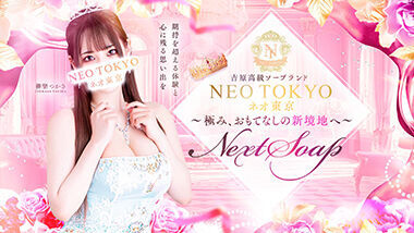 NEO TOKYO (adult entertainment / Yoshiwara soapland) 