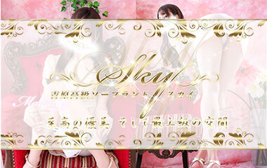 Sky ~ SKY ~ (Adult Entertainment / Yoshiwara Soapland) 