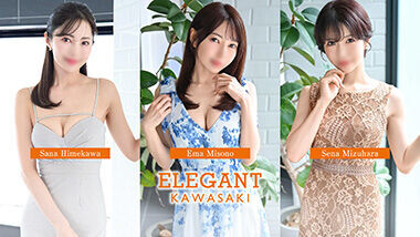 Elegant (adult entertainment / Kawasaki soapland) 