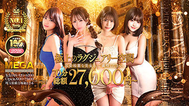 Mega Paresu (adult entertainment / Nishikawaguchi soapland) 