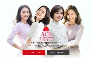 Gotanda Ace (Housewife Delivery Service / Gotanda) 